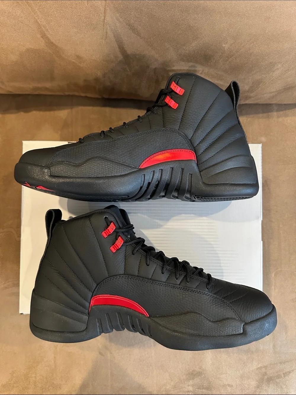 Jordan 12 retro